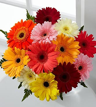 Colorful World Gerbera Daisy Bouquet